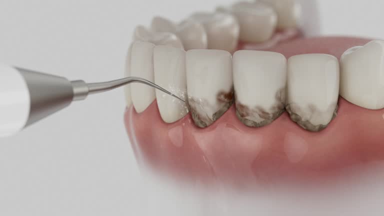 Reliable Dental contractor in Navy Yard City, WA by Dentist Open Now